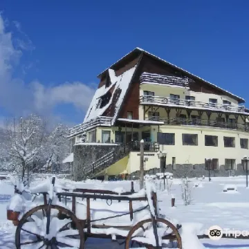 Bran Belvedere International