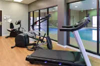 Holiday Inn SALEM by IHG - Gym
