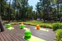 Hotel Pelegrin Plava Laguna - Gym