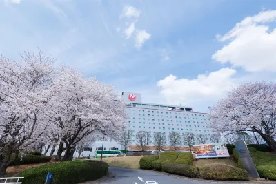 Hotel Nikko Narita