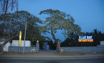 "a tree stands in front of a building with a sign that says "" blue tree party .""." at Bluebay Beach Resort