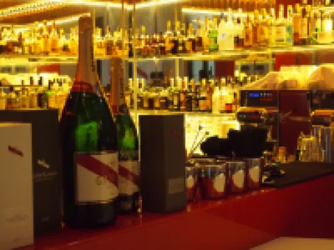 래디슨 블루 호텔 낭트