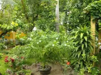 Greenyard Inn Các khách sạn ở 