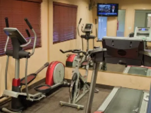 アクセント インズ バンクーバー エアポート バンクーバーのホテル