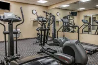 Quality Inn & Suites Coldwater Near I-69 - Gym