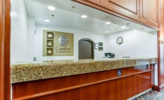 Comfort Inn & Suites San Francisco Airport North