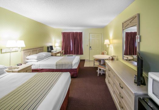 4. 이코노 로지 인..