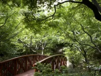 The Westin Osaka Hotels near Kuchu Teien Observatory