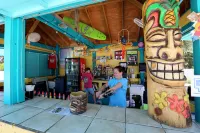 Guy Harvey Resort on Saint Augustine Beach - bar