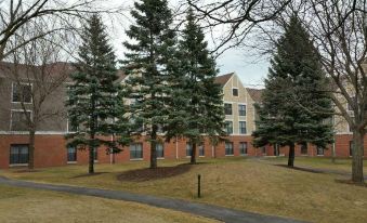 a row of tall trees in front of a building with a red brick facade at Homewood Suites by Hilton Chicago-Lincolnshire