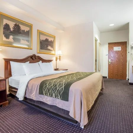Comfort Inn and Suites