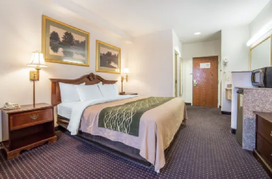 Comfort Inn and Suites Hotels in 