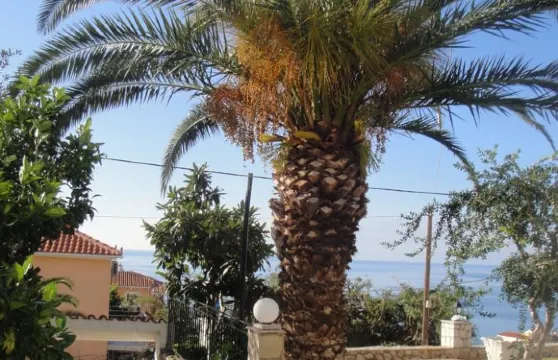 海洋前方工作室