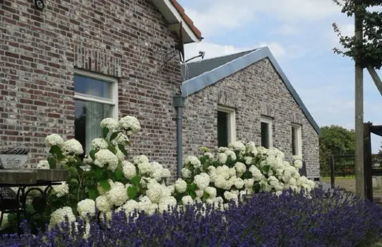 七步飛躍住宿加早餐旅館