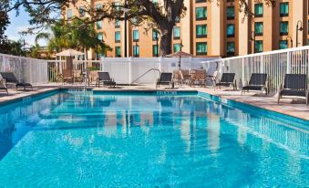 Holiday Inn Express & Suites Orlando - Apopka
