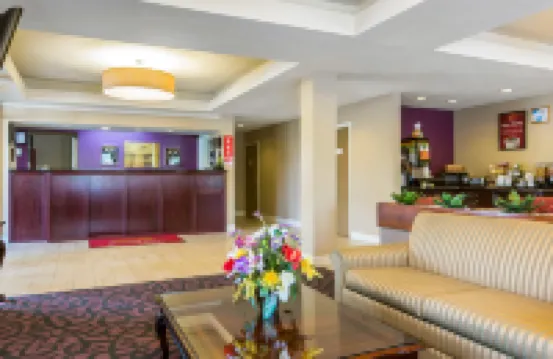 皇家棕櫚旅店 雷克斯酒店