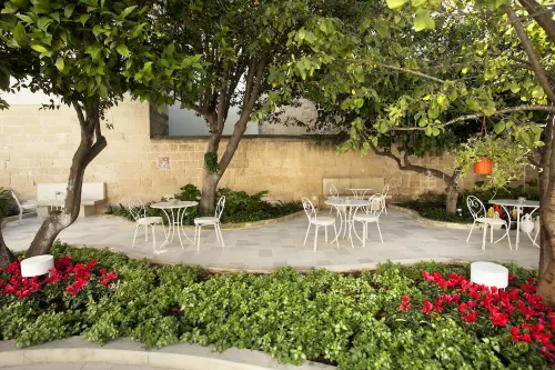 만타텔루레 - 디모라 이스크루시바