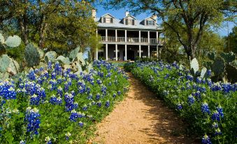 Sage Hill Inn & Spa