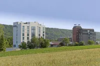 Best Western Queens Hotel Pforzheim-Niefern Hotels in Pforzheim
