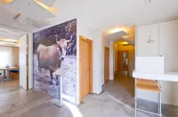 Hotel Boa Vista Hotels in Viveiro