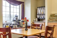 Quality Inn & Suites Hotels in Santa Rosa