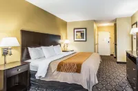 Comfort Inn Airport Turfway Road Hotels in Florence