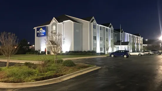 Microtel Inn & Suites by Wyndham Meridian