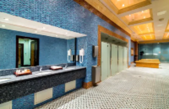 皇家鬱金香阿拉木圖酒店