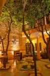 Riad Louaya