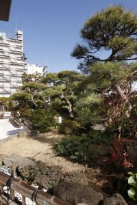 横浜 横浜 八景島シーパラダイス周辺のおすすめホテル 21人気旅館を宿泊予約 Trip Com