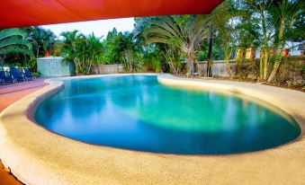 a large outdoor swimming pool surrounded by lush greenery , with a red canopy providing shade at Discovery Parks - Tannum Sands