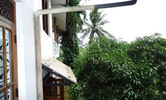 Peradeniya Rest Inn