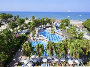Trendy Palm Beach Adults Only