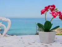 Bellariva Monopoli B&B e Relax Hotels in Monopoli