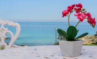 Bellariva Monopoli B&B e Relax