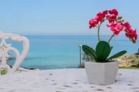 べッラリーヴァ モノーポリ B＆B e リラックス