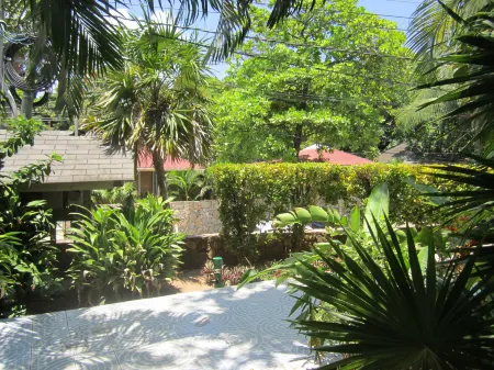 Coconut Tree West End