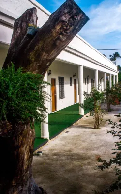 Simon's Place Hotels in 