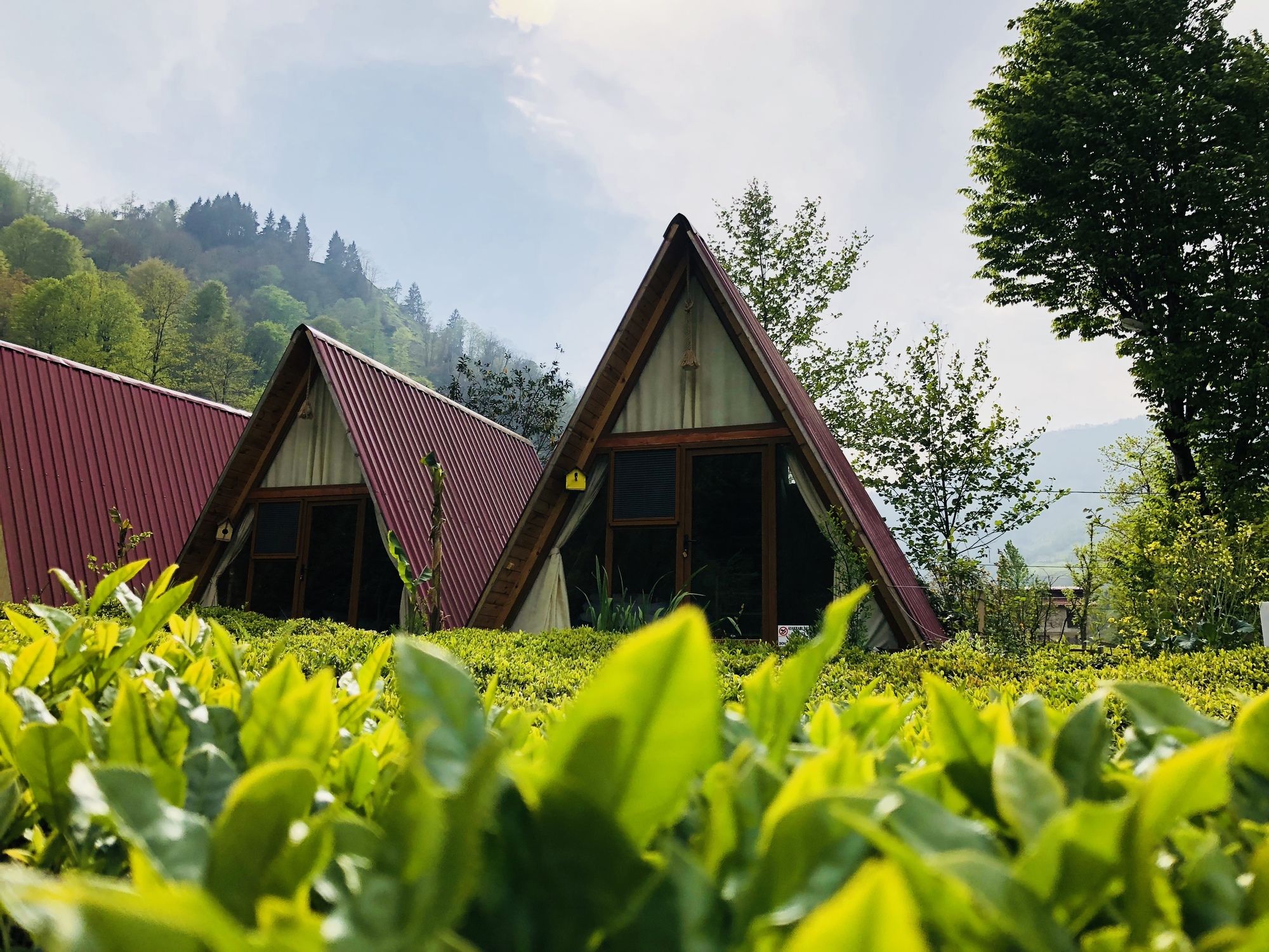 Tabiat Bungalows