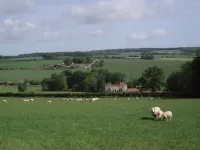 Marshwood Farm B&B Hotels in Hindon