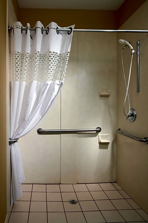Hampton Inn Mount Pleasant