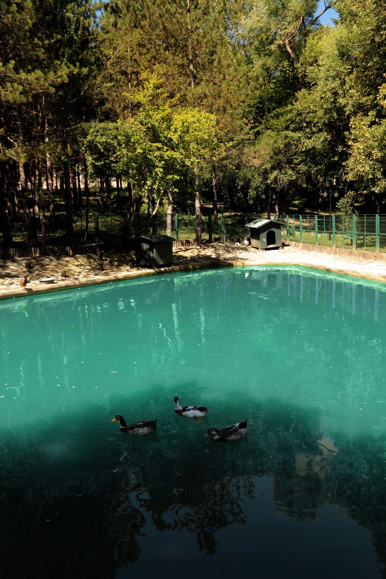 Bolu Koru Hotels Spa & Convention