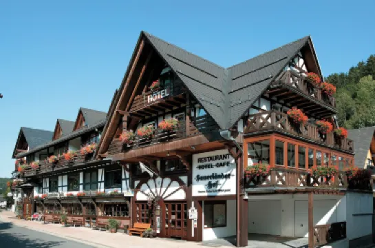 Hotel Sauerländer Hof Hotel a 
