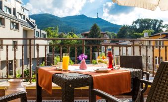 Hotel Villa Boyana - Free Parking