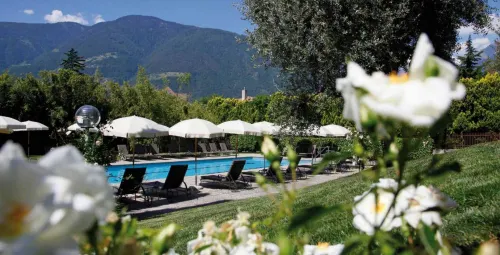 Hotel Pollinger Hotels in Tscherms