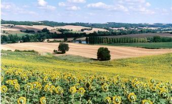 Les Celtes de Gascogne