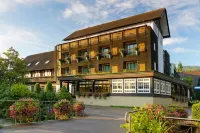 Hotel Hirschen Hotels in Waldkirch