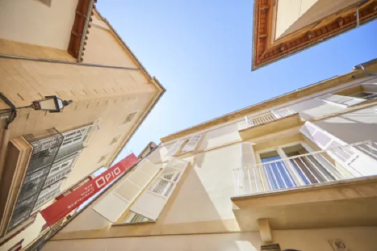 Puro Hotel Oasis Urbano