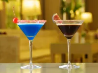 Crown Hotel St. Petersburg Hotels in Saint Petersburg