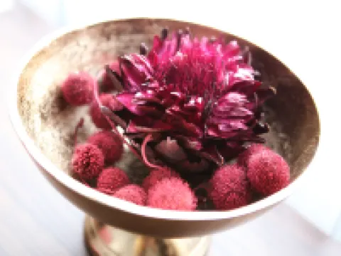 Hotel Rothkamp Hotels in Frechen